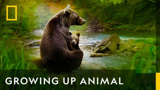 Growing Up Animal