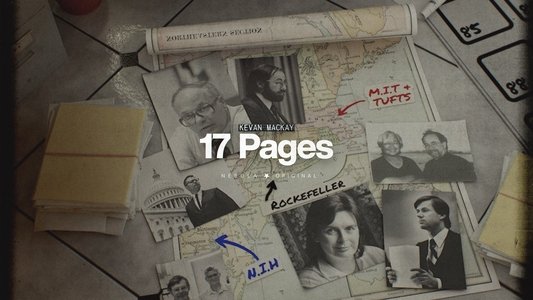 17 Pages
