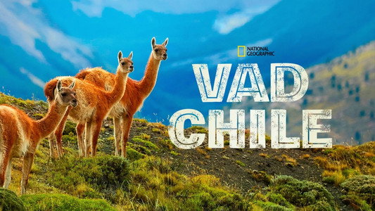 Wild Chile