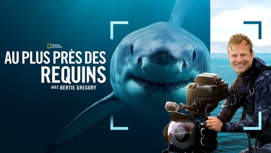 Sharks Up Close with Bertie Gregory