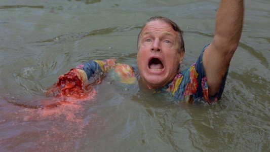 Killer Crocodile