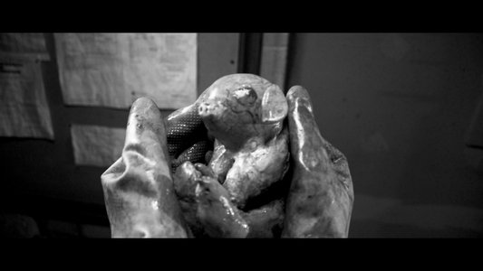 Song of the Slaughterhouse