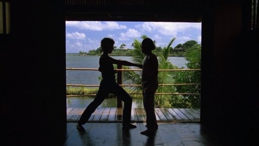 The Karate Kid Part II