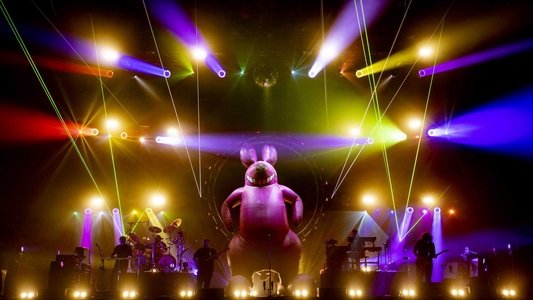 The Australian Pink Floyd Show - Everything under the sun