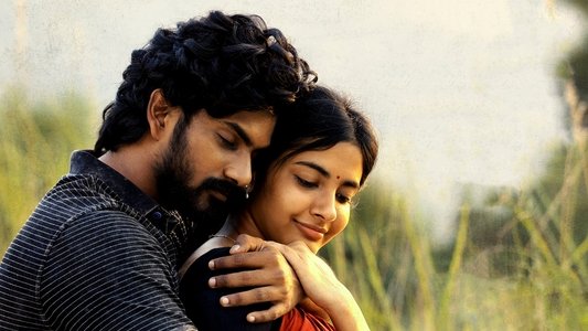 పెద కాపు-1