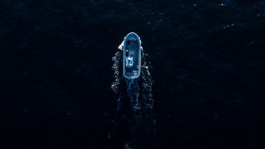 The Carman Family Deaths