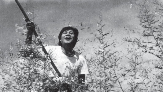 Cánh đồng hoang
