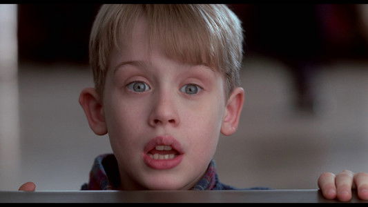 Home Alone 2: Lost in New York