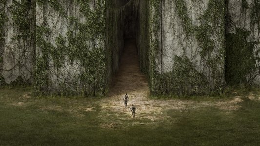 The Maze Runner