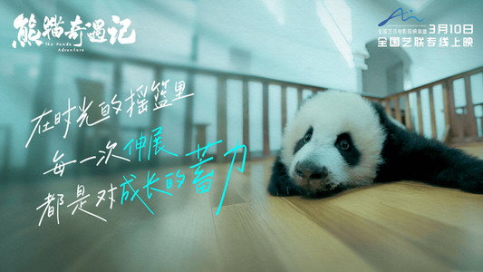 熊猫奇遇记