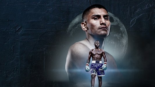 Vergil Ortiz Jr vs. Erickson Lubin