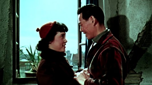女篮五号