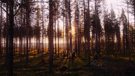 Jag vill se Gällivare brinna