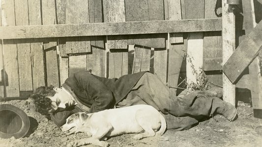 A Dog's Life