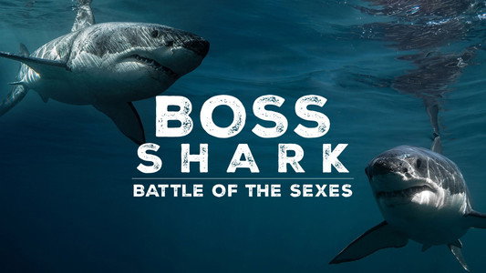 Great White Sex Battle