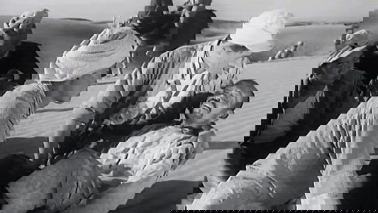水