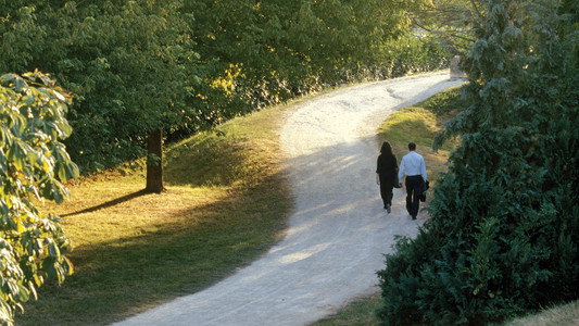 Les Revenants