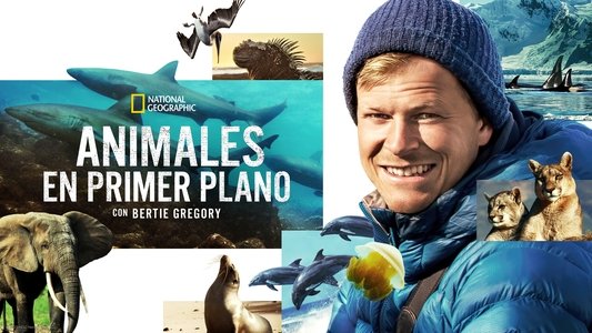 Animals Up Close with Bertie Gregory