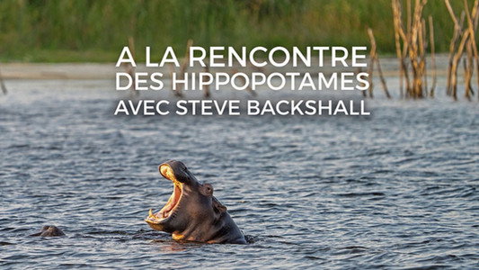 Hippo Watch with Steve Backshall