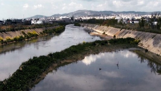γέννημα θρέμμα Δεντροπόταμος