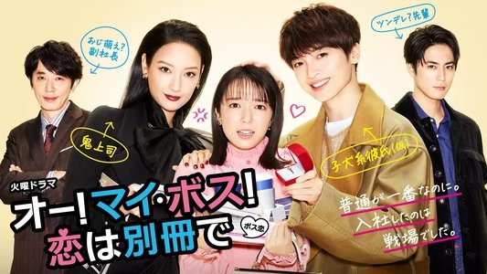 オー!マイ･ボス!恋は別冊で ディレクターズカット版