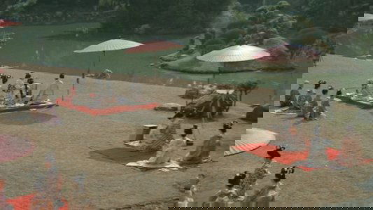 徳川女系図