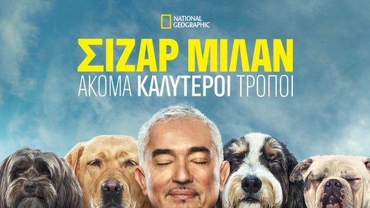 Cesar Millan: Better Human, Better Dog
