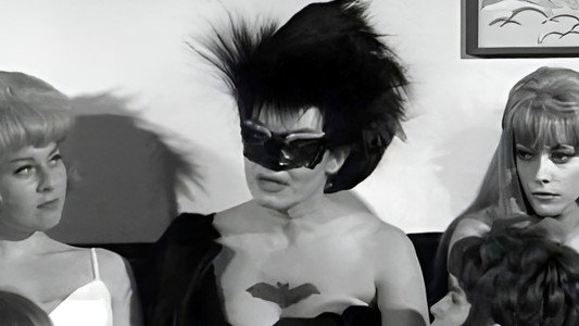 The Wild World of Batwoman