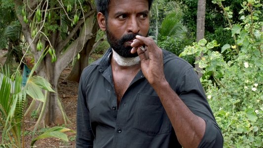 கொட்டுக்காளி