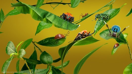 A Real Bug's Life