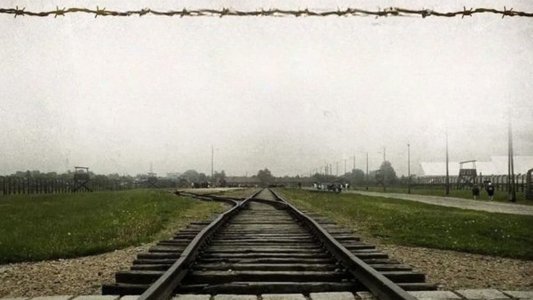 Além da Liberdade — A Vida de Viktor Frankl