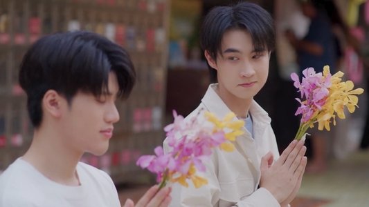 หมาน้อง