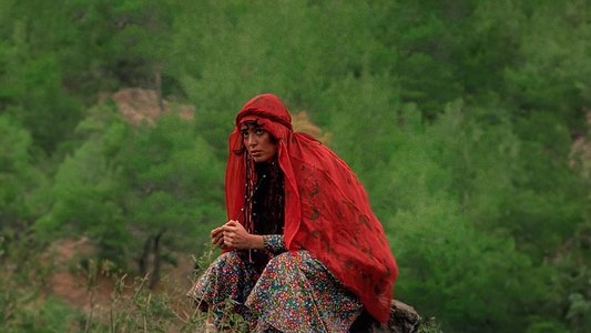 Selvi Boylum Al Yazmalım