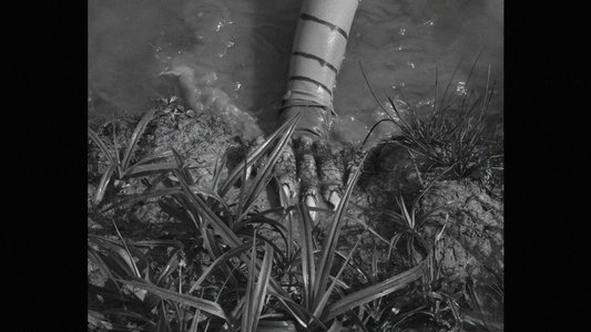 FROGGER, LA CREATURE DU LAC