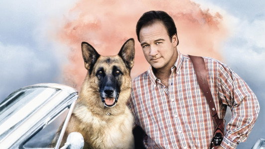 K-911