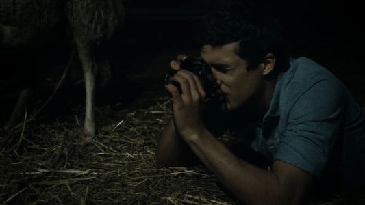 Mektoub, My Love: Canto Uno