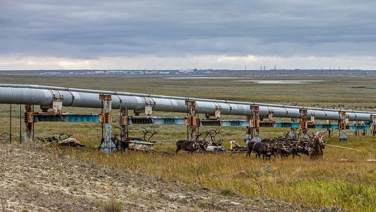 Gaz russe, la dernière route des Nenets