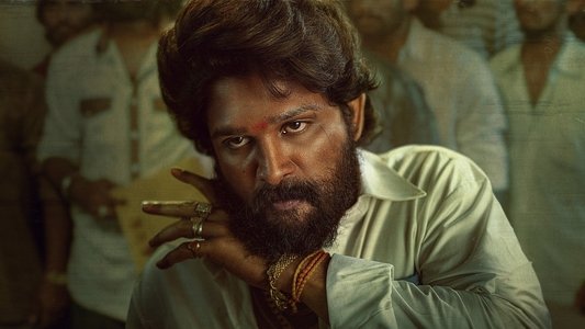 పుష్పా - The Rise
