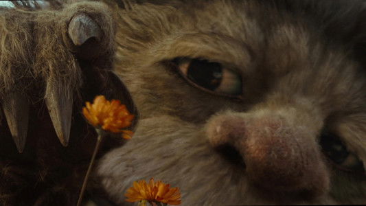 Where the Wild Things Are