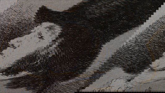 Goya: el secreto de la sombra