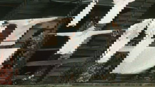 ボクサー