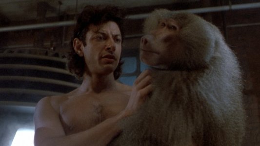 The Fly