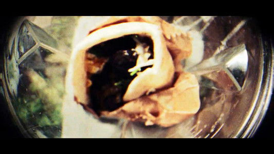 שם טוב האבי 2