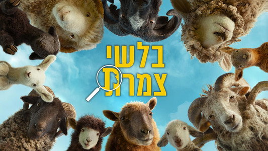 The Sheep Detectives