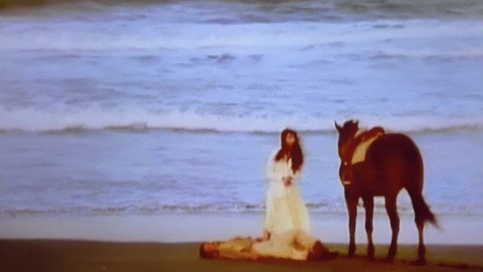 馬と女と犬