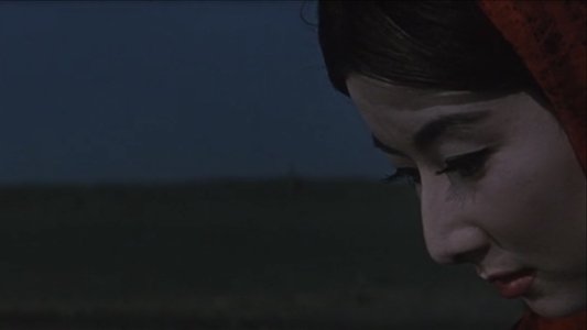 女経