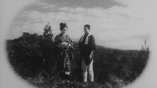 野菊の如き君なりき