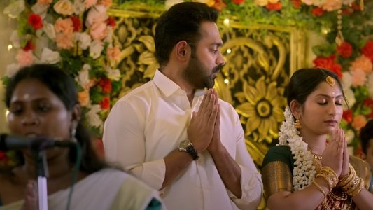 ആഭ്യന്തര കുറ്റവാളി