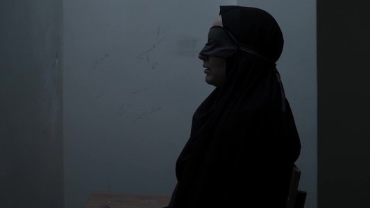 Les Graines du figuier sauvage