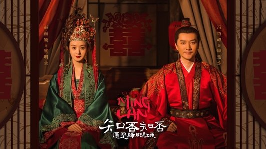 知否知否应是绿肥红瘦 (DVD版)